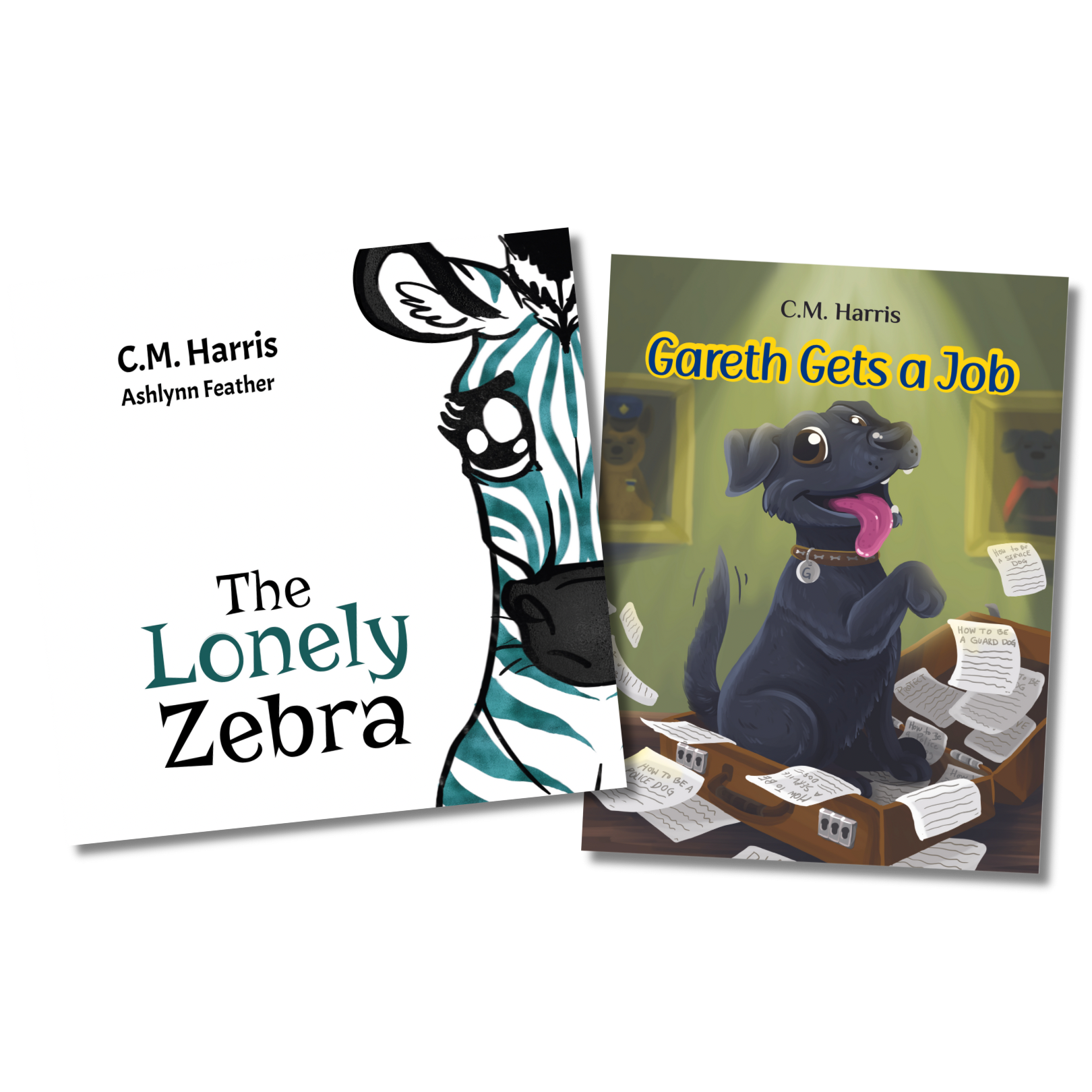 Summer Literacy Bundle: 2 Hardcover Books for $15!